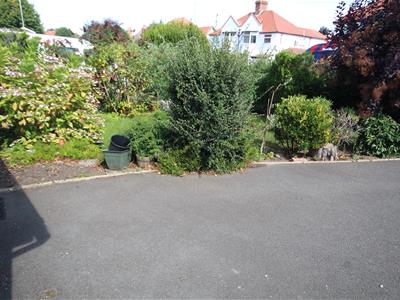Picture 17